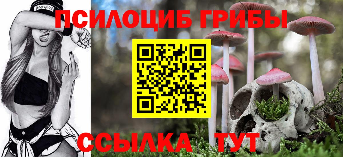 Похвистнево  Псилоцибиновые грибы мицелий  Вход с VPN 